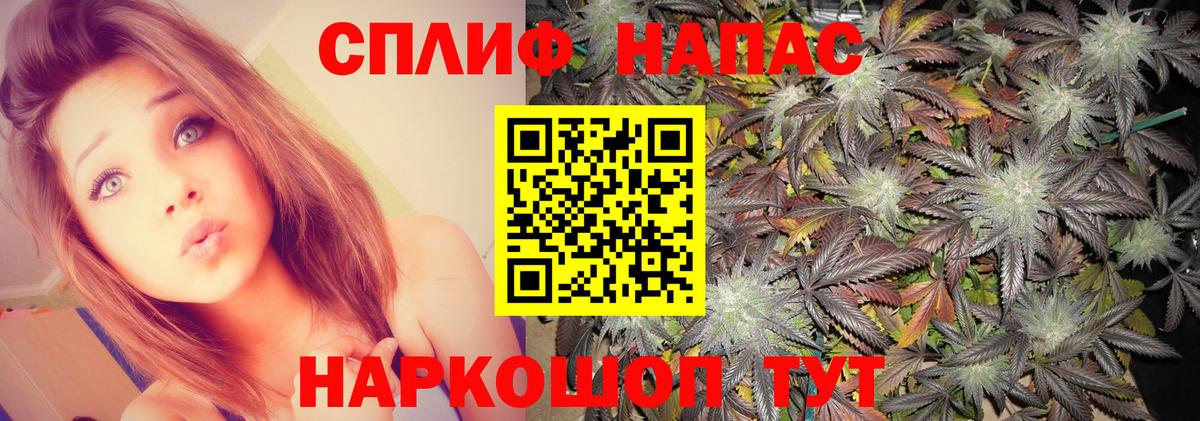 Бошки марихуана сатива  Марихуана ГИДРОПОН  Марихуана индика  Вход с VPN  Бошки Шишки планчик  Невинномысск 